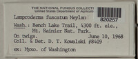 Image Associated With the Occurence